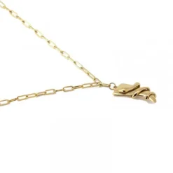 Anartxy Collar Snake