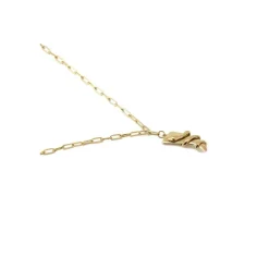 Anartxy Collar Snake