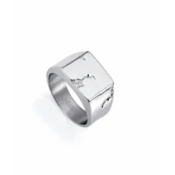 Anillo de hombre de acero tipo sello Viceroy - 15165A0