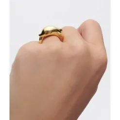Anillo Dolphin PDPAOLA - AN01-D50