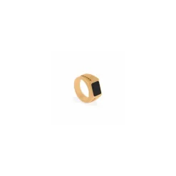 Anillo Hudson con piedras preciosas de ónix negro y baño de oro