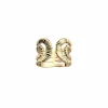 Anillo Nómade
