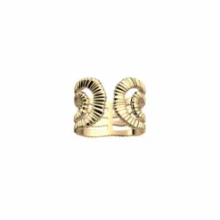 Anillo Nómade