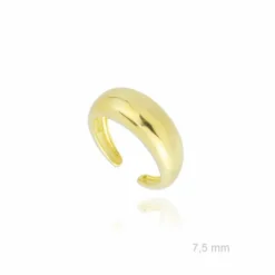 Anillo Plata Dorado