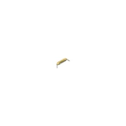 Casio Vintage Gold