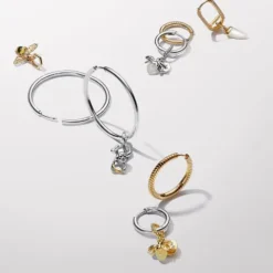 Charm Mono Móvil en Dos Tonos Pandora Moments