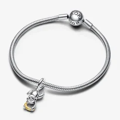 Charm Mono Móvil en Dos Tonos Pandora Moments