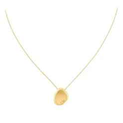 Collar de acero dorado y circonitas
