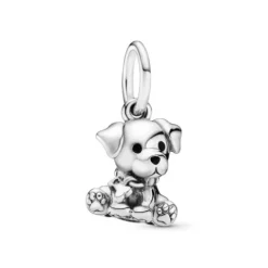 Pandora Charm Colgante en Plata Labrador