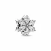 Pandora Charm Herbario Brillante 792623C01