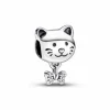 Pandora Charm Mascota Gato y Hueso