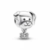 Pandora Charm Mascota y Hueso