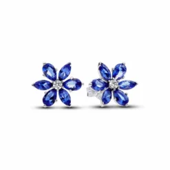 Pandora Herbario Azul Plata